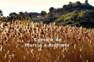 cómo ir de Murcia a Archena
